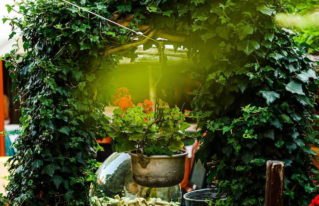 Borgo San Quirico d'Orcia B&B - Capitano Collection - Albergo diffuso - Foto 57