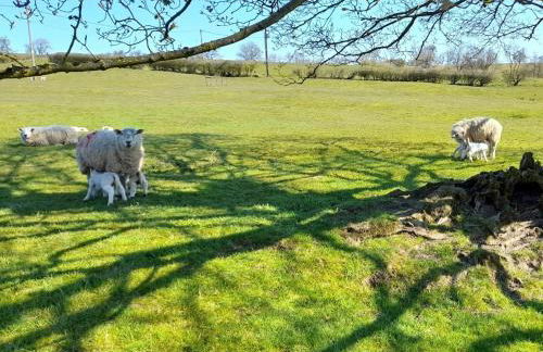 5 Bed in Leek oc-79543 - Photo 34