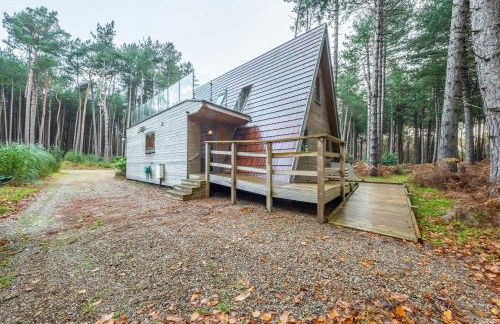 Woodpecker - Photo 46