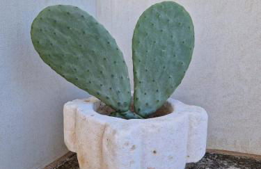 Residenza "I Tre Carrubi " - Foto 40