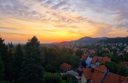 Apartments Villa-Ratskopf Wernigerode - Photo 65