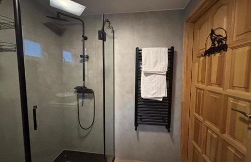 Willa Jeleń - Foto 24