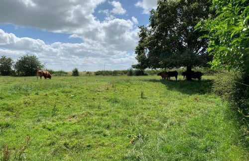 Jenson Cottage - Photo 71