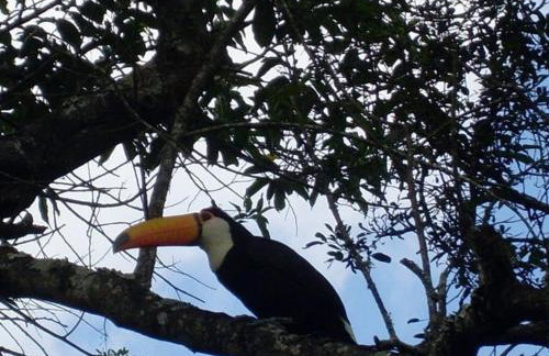 Cabana Jandaia - Foto 30