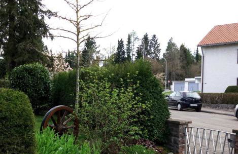 Ferienwohnung Margot in VS - Foto 22