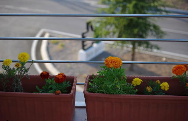 Llave De Granada - Foto 18