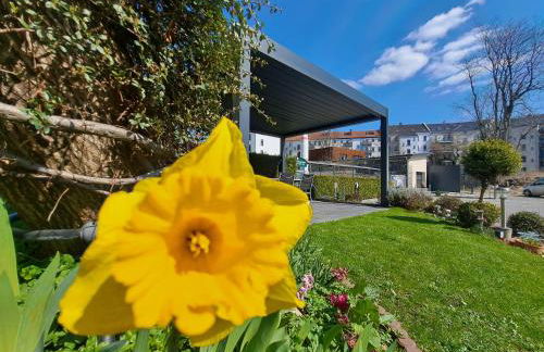 Space Hotel im Campus der JvP Schule - Foto 39