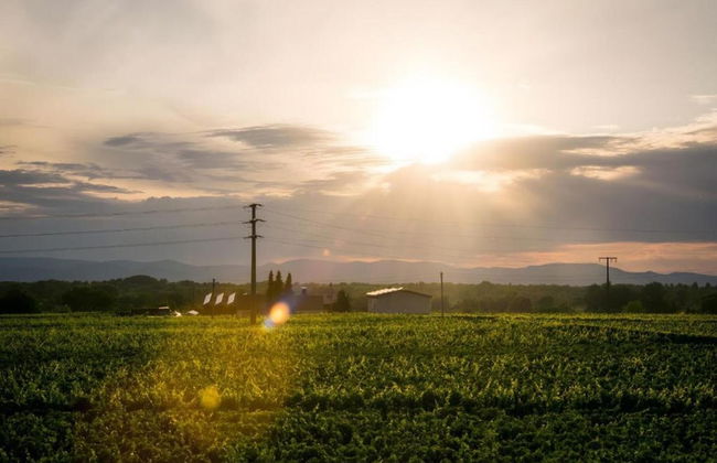 Holiday Apartment Monet in Oberrotweil - Foto 28