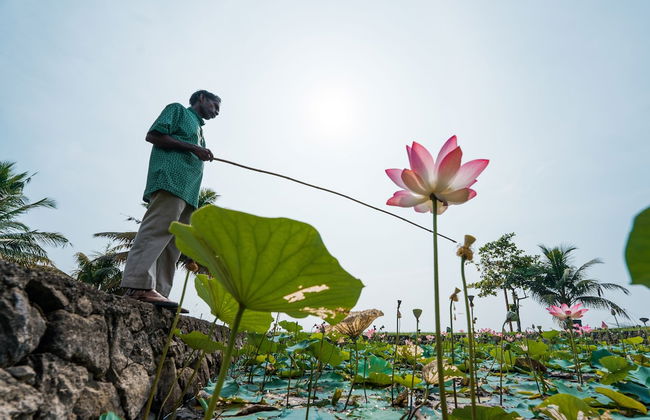 amã Stays & Trails Pathiramanal Villa, Alappuzha - Foto 21