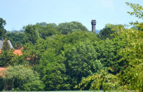 Ferienwohnung Waldblick Bückeburg - Photo 18