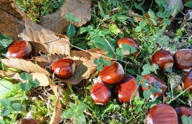 Borgo Castelluccio Country House - Foto 65