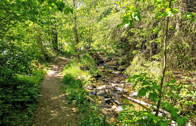 Am Hohen Bogen - Foto 25