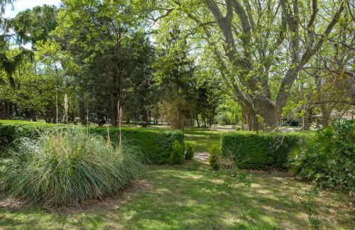 Mas 9 Romanin - Mas Provençal Familial - Foto 43