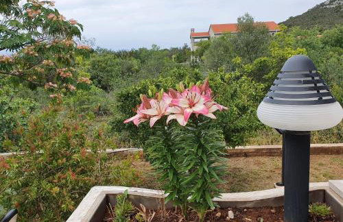 Holiday house "LEA" - Photo 42