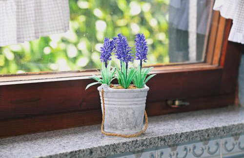 Apartments Biondi - Photo 48