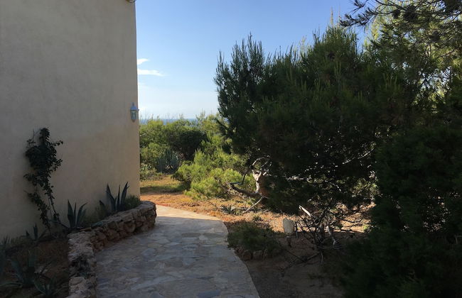 Carpe Diem - Photo 23