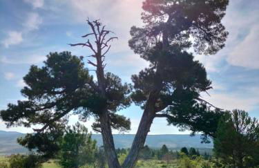 Apartamentos de Turismo Rural La Rocha - Foto 27