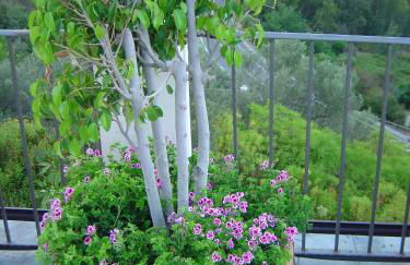 La Finestra sulle Eolie - Foto 78