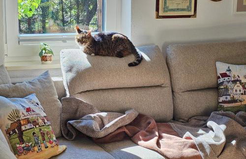 Forest House Podwilczyn with sauna & fireplace - Foto 22