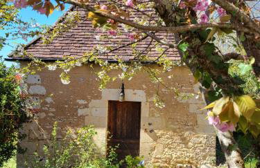 Domaine de Bagnegrole - Foto 52