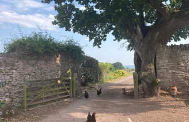 Cosy Stable at Oak Farm - Foto 15