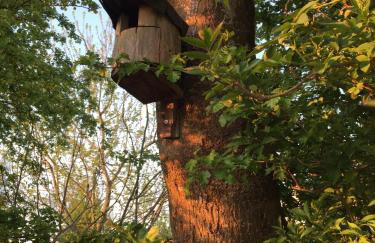 Ferienhaus Scholien - Foto 53