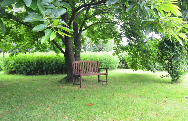 Holiday Home in Froidchapelle With Garden - Foto 38