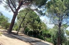 Chez Alexandra - Foto 21