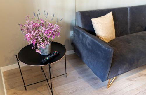 Secret Garden in Bragança - historic center - Foto 18