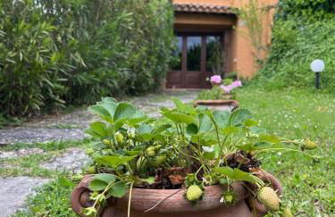 APPARTAMENTI DOLCETURISMO FONTECAIME...RELAX... - Foto 25