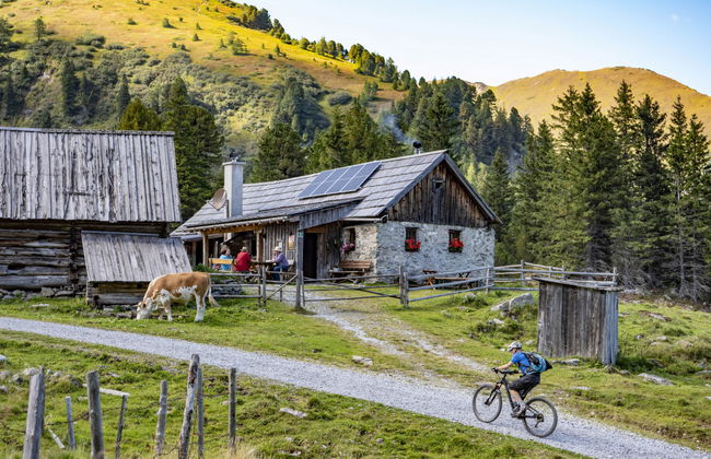 Superior #68 mit IR-Sauna - Foto 19