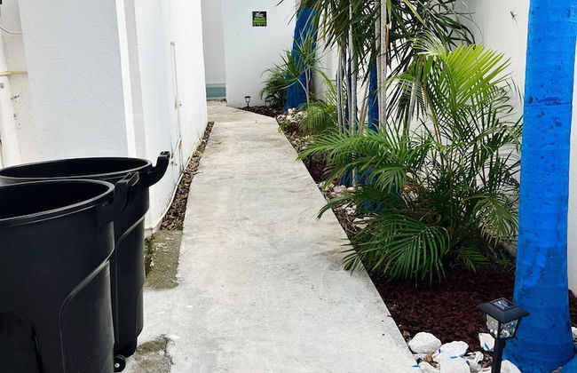 Janer House - Photo 40