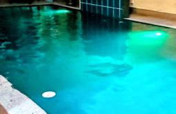 Sonho de verão - Foto 7