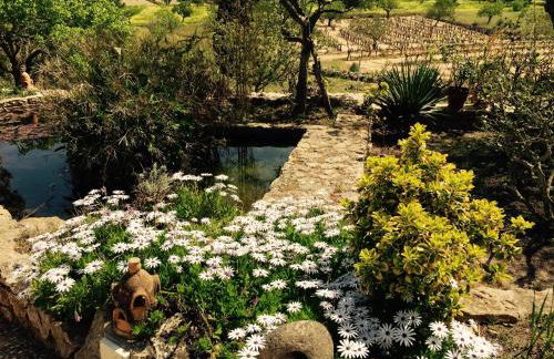 encantadora casa ibicenca - Foto 3