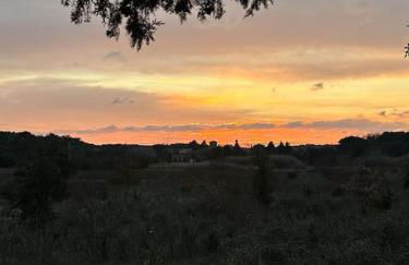 Les lauriers - Foto 23