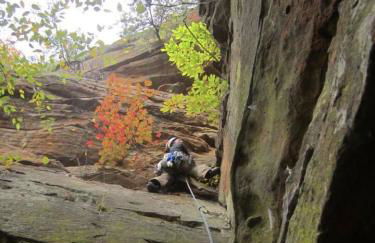 Alice Rocks - Pet Friendly, Firepit, WiFi - Foto 41