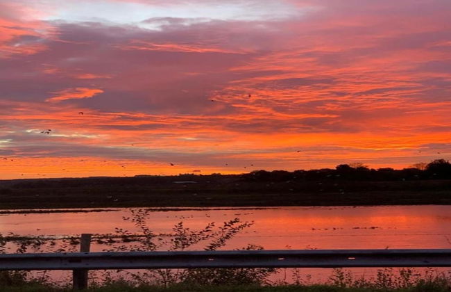 Oud-rekem Heritage Hideaway - Foto 34