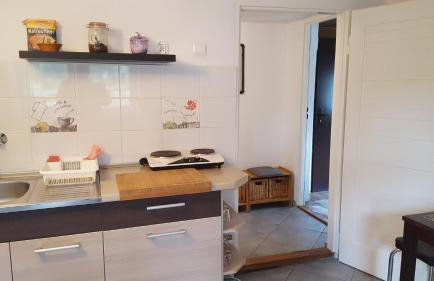 Alpaka-Ranczo AFF - Foto 63