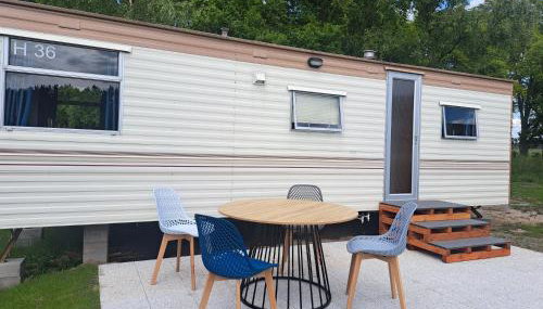 Ulinia Wilcza 4 niebieski - Foto 2