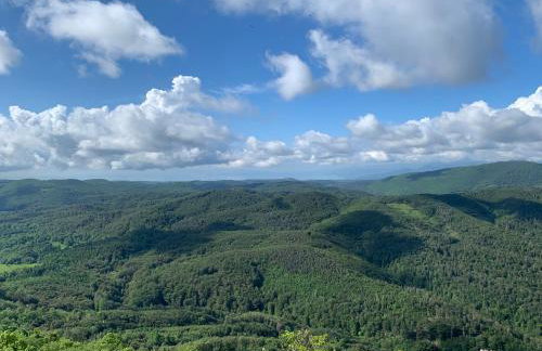 La maison-blanche - Photo 35
