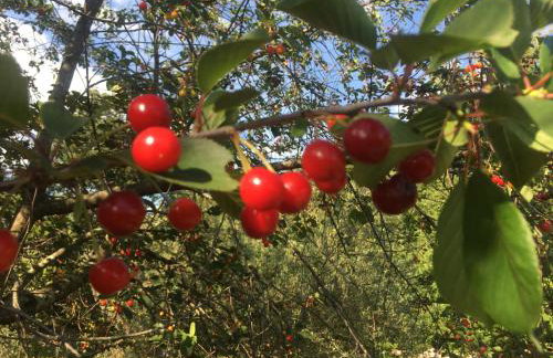 House in Nature - Foto 80