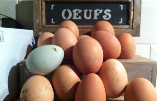 East Thorne - Cornwall - Foto 33