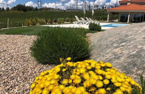 Quinta BEMBOA Turismo Espaço Rural - Foto 13