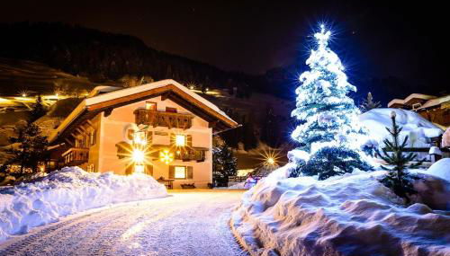 Cesa Mandi e Miky - Foto 4