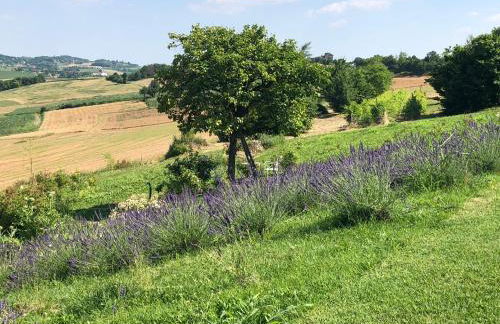 Cascina Vicentini - Foto 35
