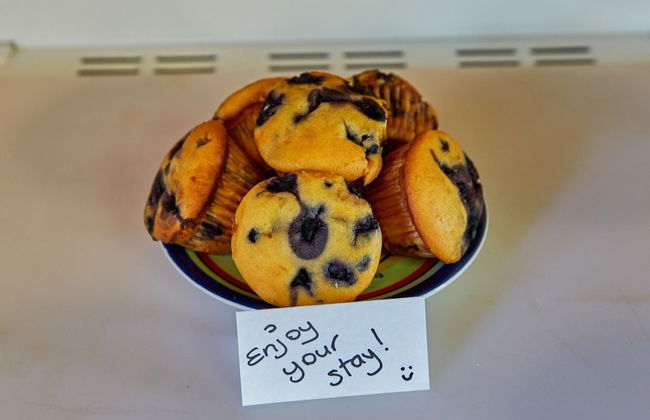 Cubby House Stay - Kaikoura - Foto 56