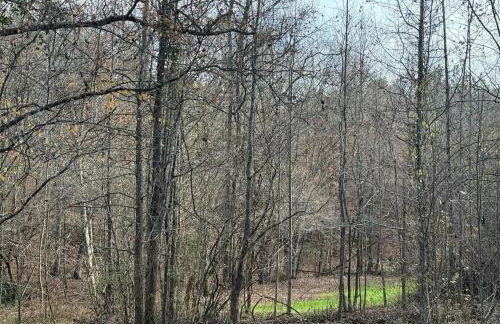 Waterfalls Canyon 41.5 Acres W Miles of Trails - Foto 8