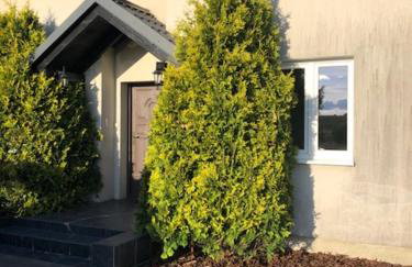 Cottage house Gowidlino by the lake, Kashubia - Foto 1