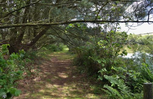 Little Owl Lodge - Foto 13