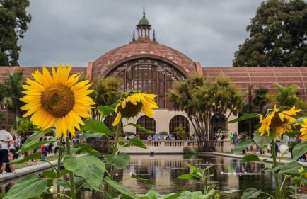 South Park Charmer - Close to Zoo - Backyard Oasis - Foto 24